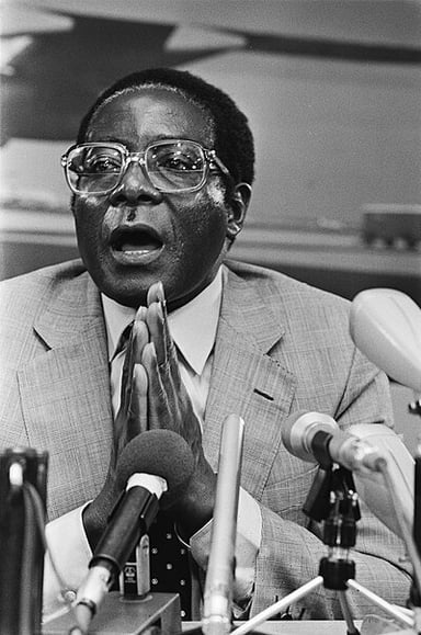 What does Robert Mugabe look like?