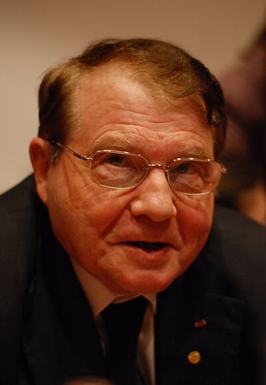 During which pandemic did Luc Montagnier promote a certain conspiracy theory?
