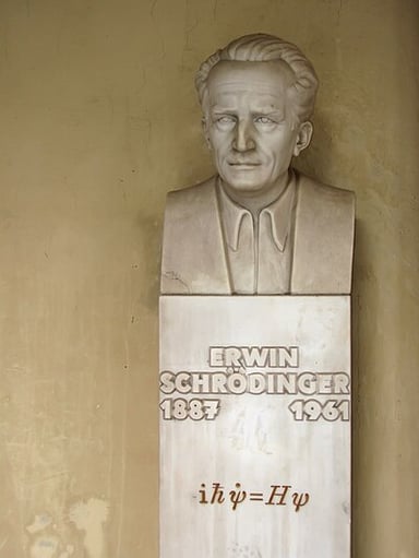 What was the cause of Schrödinger's death?