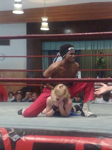 In which year did Candice LeRae start her professional wrestling career?