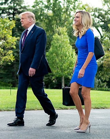 What is Kayleigh McEnany's primary profession?