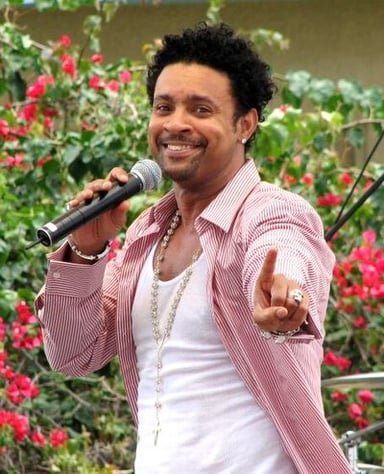 How many Grammy Awards has Shaggy been nominated for?