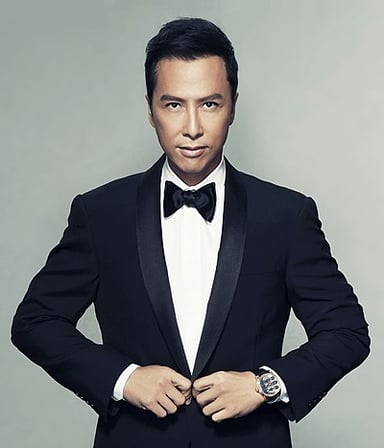 Which martial art style Donnie Yen is credited for popularising in China?