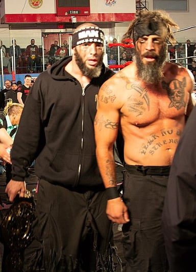 How many times did the Briscoe Brothers win the world tag team championship overall?