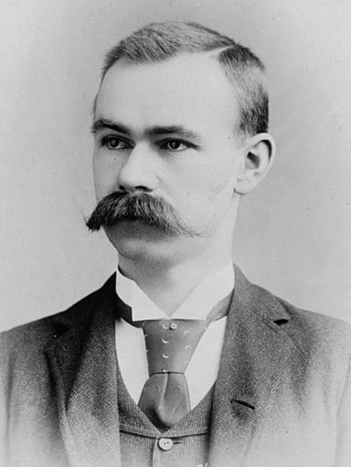Herman Hollerith's machine used which medium for data?
