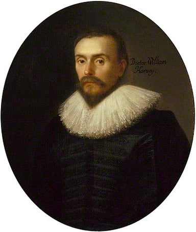What did William Harvey describe in detail?