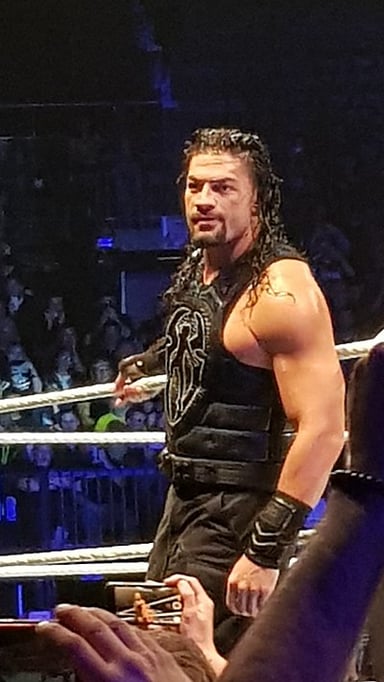 I'm curious about Roman Reigns's most well-known professions. Could you tell me what they are? [br](Select 2 answers)
