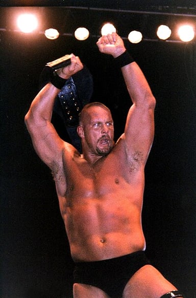Who was Stone Cold Steve Austin's main rival in the WWF/WWE?
