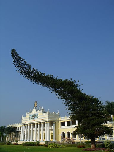 What is the distance between Mysore and the state capital, Bangalore?