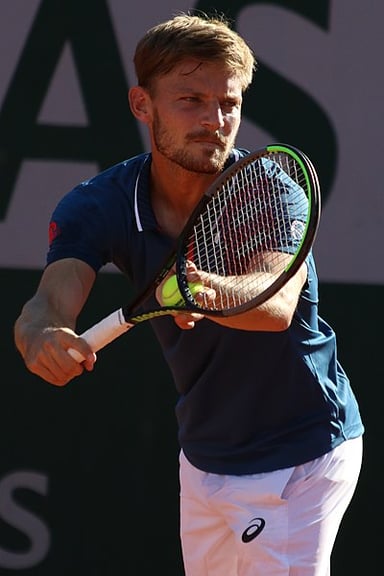 Besides the French Open, in which other major tournament did Goffin reach the quarterfinals in 2016?