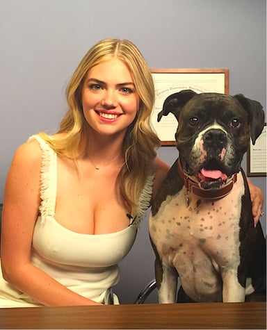 In what year was Kate Upton's 100th-anniversary Vanity Fair cover published?