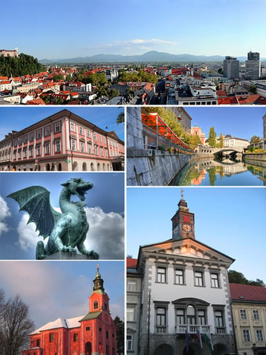 Who is the Mayor of Ljubljana?