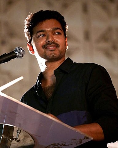 Which award has Vijay won from the South Indian International Movie Awards?