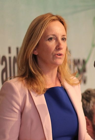 Did Gemma O'Doherty run for the 2018 Irish presidential election?