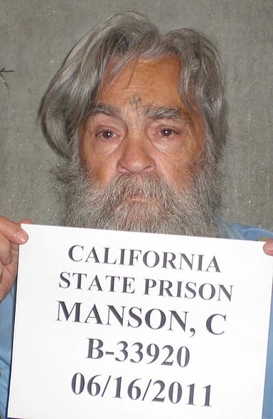 What term did Manson use to describe an impending apocalyptic race war?