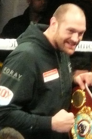 In which year did Tyson Fury win the ABA super-heavyweight title?
