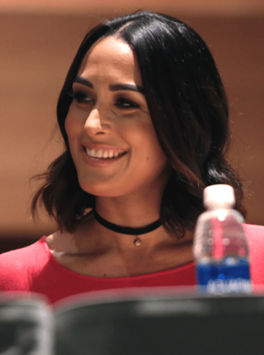 Who did Brie Bella have an on-screen romance with in WWE?