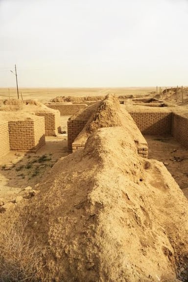 What was the main purpose of the "Nimrud Project"?