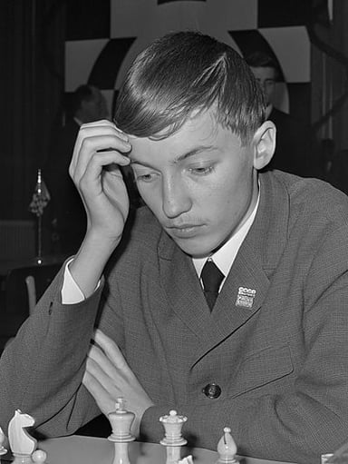 What is Karpov's profession besides being a chess player?