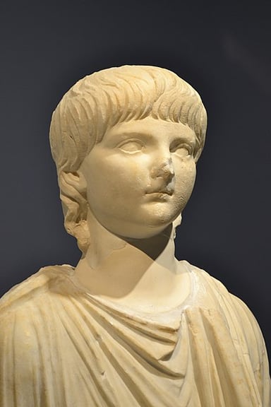 Who was the biological mother of Nero?