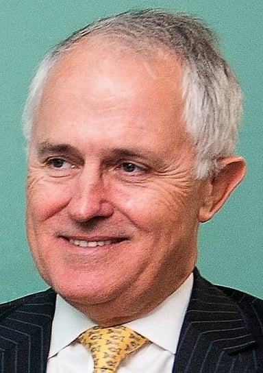 What was the result of the 2016 double dissolution election under Turnbull's leadership?