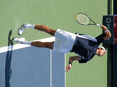 In which year did Milos Raonic reach his highest singles ranking in the ATP?