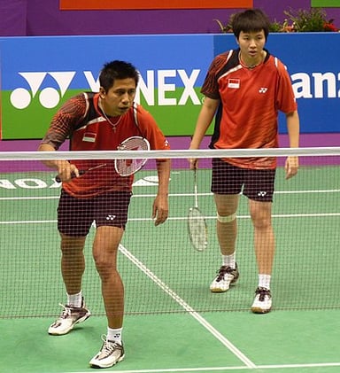 When did Natsir and Ahmad top the world mixed doubles ranking?