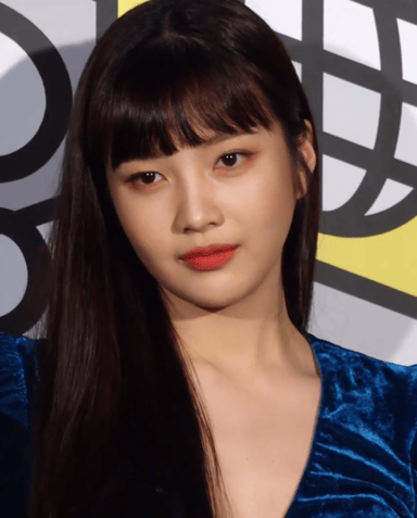 Who are the members of Red Velvet along with Joy? 
