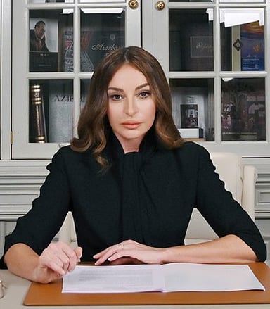 Did Mehriban Aliyeva hold any key political role before becoming Vice President?