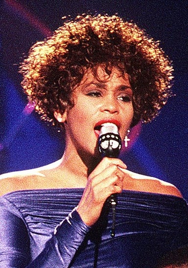 What institutions did Whitney Houston attend for their education?
