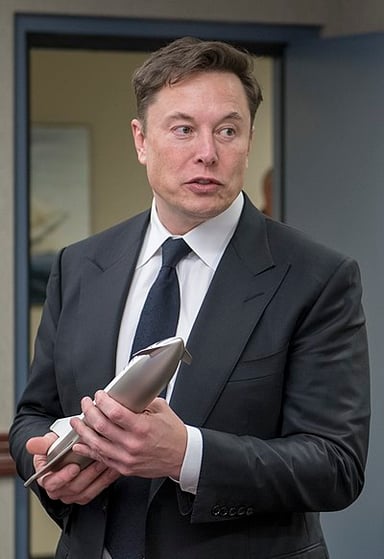 Which positions Elon Musk held?[br](Select 2 answers)