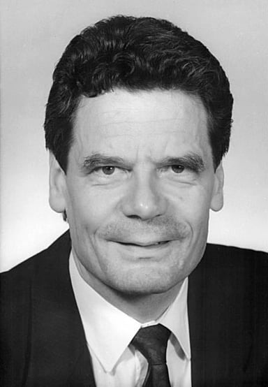 Before his time in politics, what was Gauck's profession?