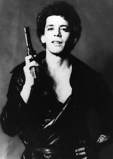 How many solo studio albums did Lou Reed release in his career?
