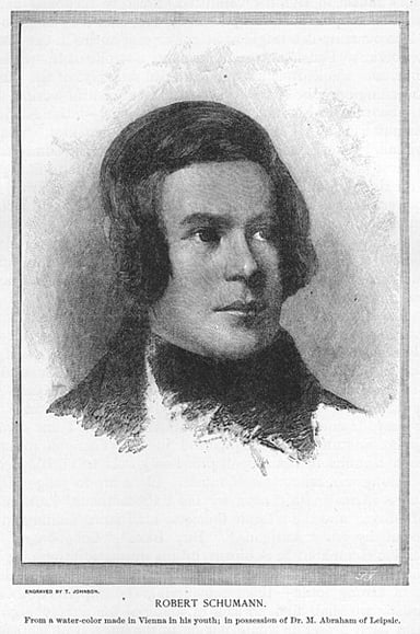 What was Robert Schumann's primary occupation?