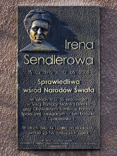 Which department did Irena work for in Warsaw?