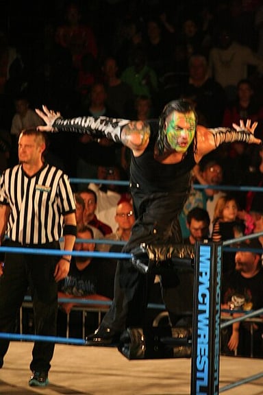 I'm curious about Jeff Hardy's most well-known professions. Could you tell me what they are? [br](Select 2 answers)