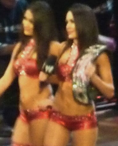 Who was the first Bella Twin to win the WWE Divas Championship?