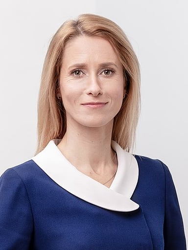 In which field has Kaja Kallas shown significant expertise as a lawyer?
