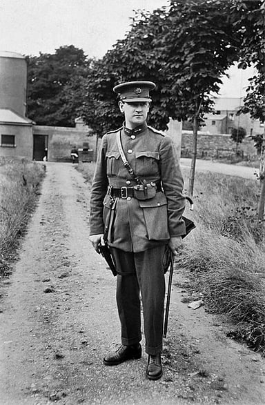 What does Michael Collins look like?