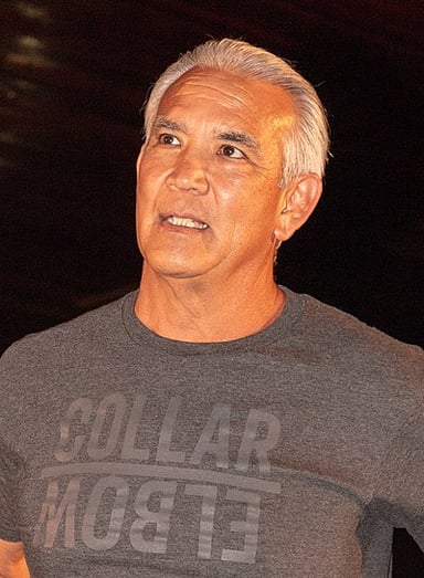 For which wrestling promotion was Ricky Steamboat a World Television Champion four times?