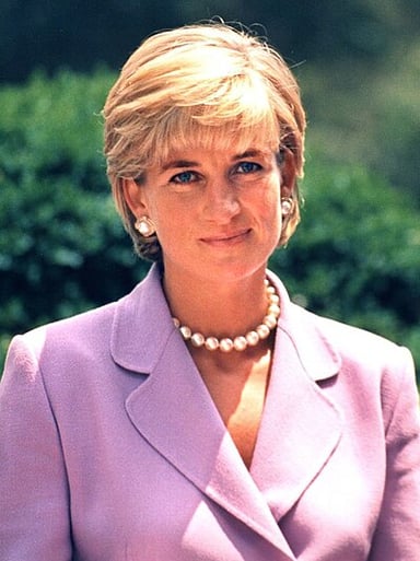 In addition to [url class="tippy_vc" href="#6002538"]Princess Of Wales[/url] and [url class="tippy_vc" href="#4134105"]Lady[/url], what other title does Diana, Princess Of Wales hold?