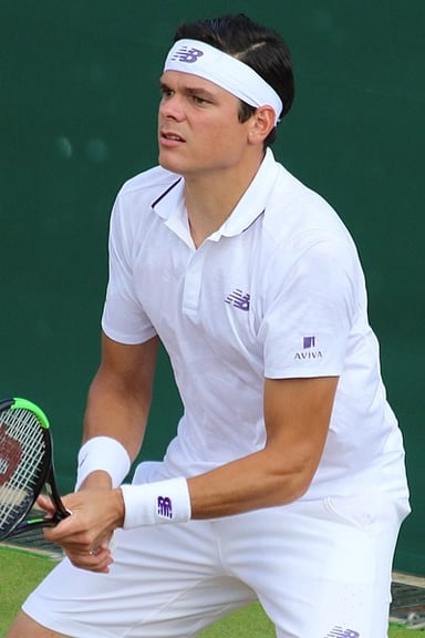 What is Milos Raonic's playing style?