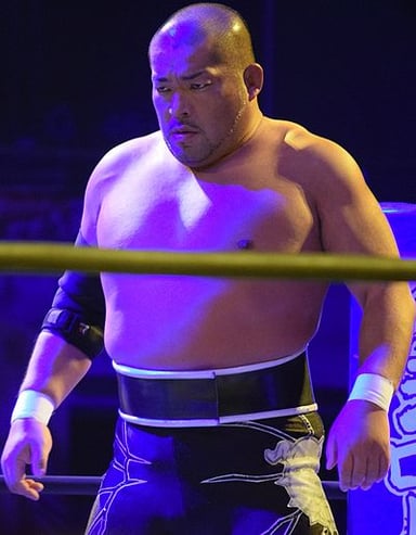 Besides NJPW, which other wrestling promotion does Tomohiro Ishii appear for?