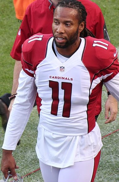 What position did Larry Fitzgerald play in the NFL?