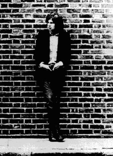 What year was the first biography of Nick Drake published?