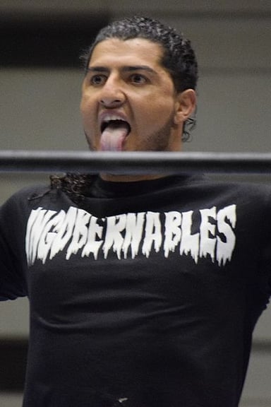 What is the full name of the group Los Ingobernables de Japón?