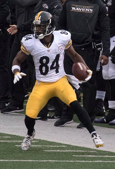 In which season did Antonio Brown lead the NFL in receiving touchdowns?