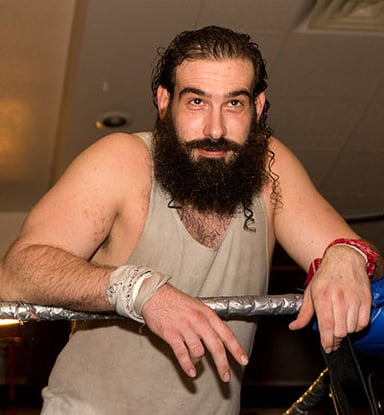 How many times did The Wyatt Family win the NXT Tag Team Championship?