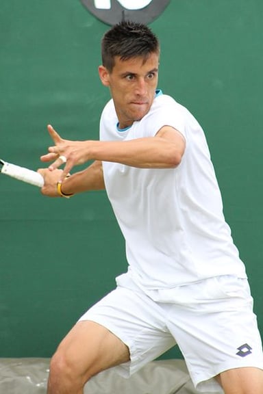 In which year did Damir Dzumhur compete in the Olympics?