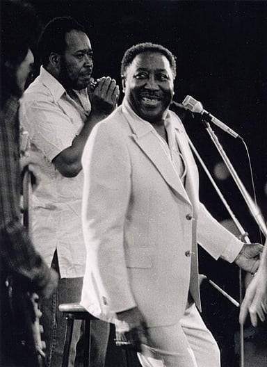 Which instrumentalist in Muddy Waters' band was known on stage as Elgin Evans?